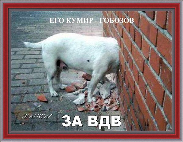 Приколы о Дом-2 (28.04.2019)