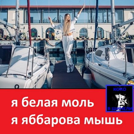 Приколы о Дом-2 (4.05.2019)