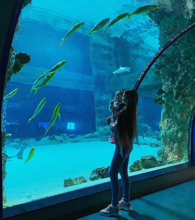 Ольга Рапунцель: Провели чудесный день в океанариуме