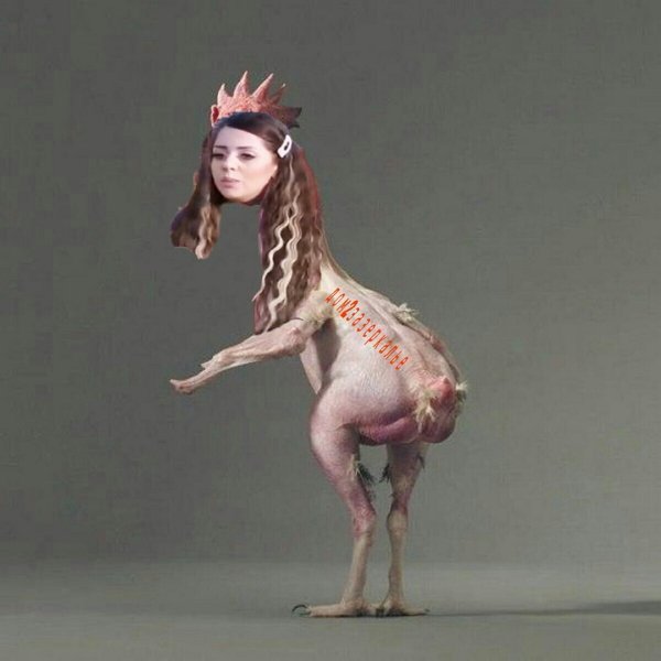 Приколы о Дом-2 (10.05.2019)