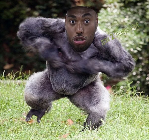 Приколы о Дом-2 (11.05.2019)