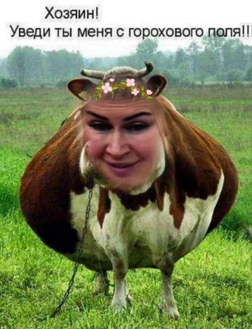 Приколы о Дом-2 (16.05.2019)