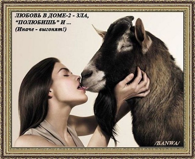 Приколы о Дом-2 (19.05.2019)