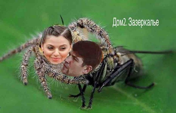 Приколы о Дом-2 (23.05.2019)