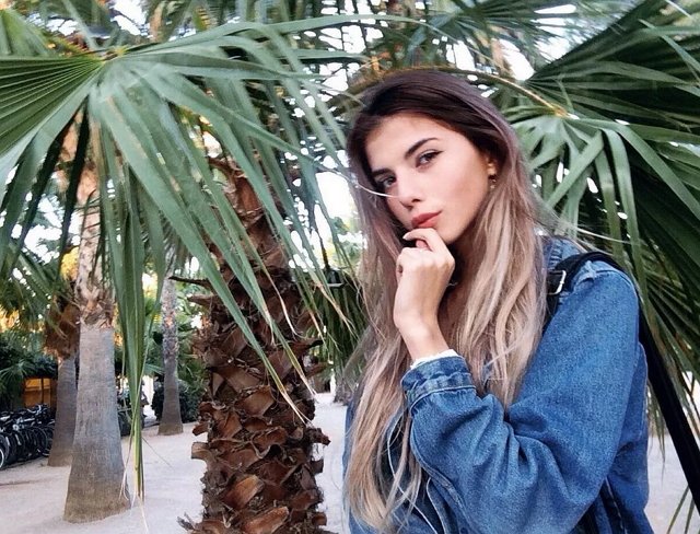 Коллектив уже готовит Пингвинову к вылету