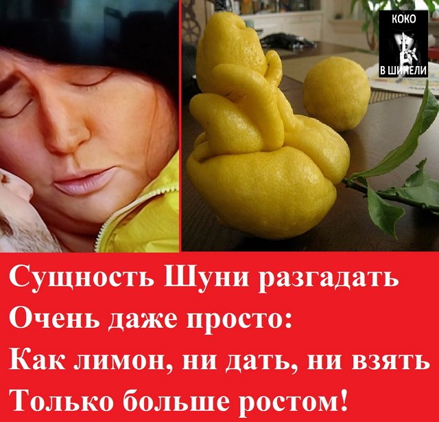 Приколы о Дом-2 (25.05.2019)