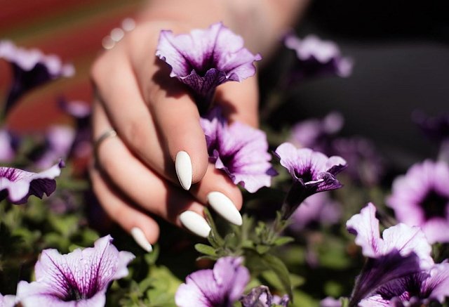 Александра Оганесян: Всё выходит из-под контроля