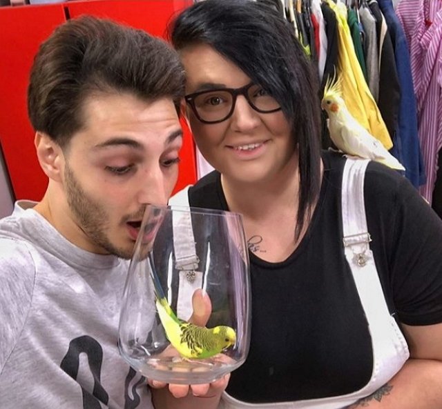 Оганесяны завели попугайчиху по кличке Светка