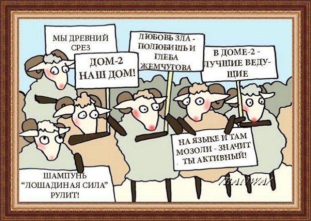 Приколы о Дом-2 (16.06.2019)