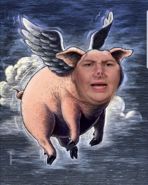 Приколы о Дом-2 (21.06.2019)