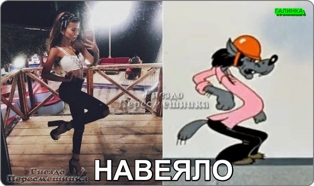 Приколы о Дом-2 (21.06.2019)