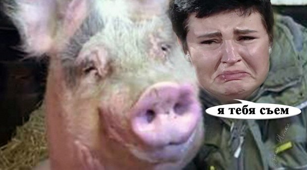 Приколы о Дом-2 (27.06.2019)