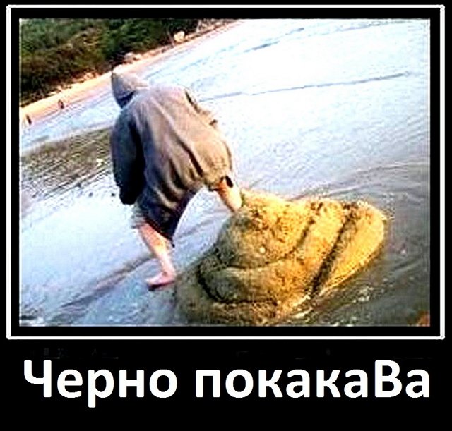 Приколы о Дом-2 (29.06.2019)