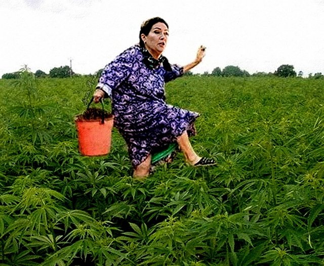 Приколы о Дом-2 (1.07.2019)