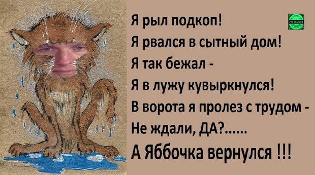 Приколы о Дом-2 (3.07.2019)