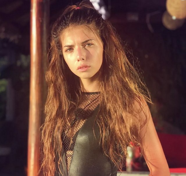 Пингвинову снова начали обсуждать