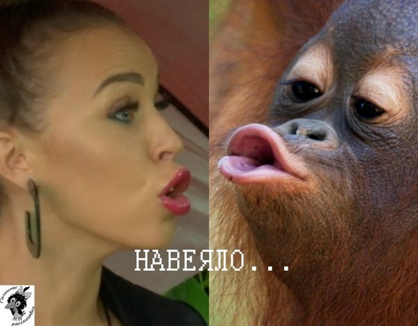 Приколы о Дом-2 (21.07.2019)