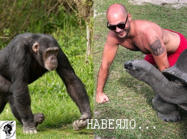 Приколы о Дом-2 (25.07.2019)