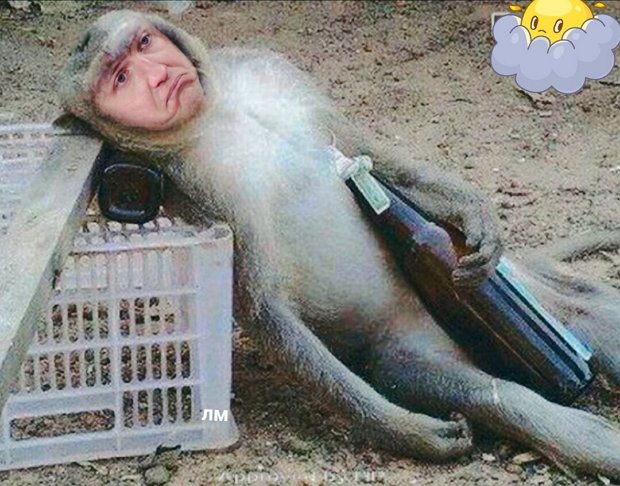 Приколы о Дом-2 (27.07.2019)