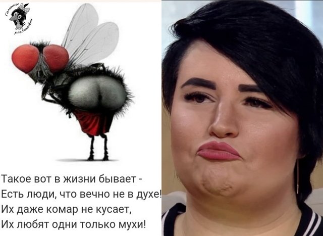 Приколы о Дом-2 (11.08.2019)