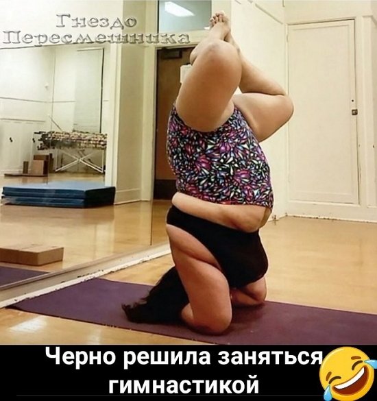 Приколы о Дом-2 (14.08.2019)