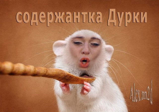 Приколы о Дом-2 (16.08.2019)