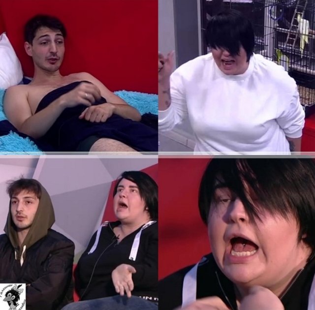 Стихи о Дом-2 на 24.08.2019