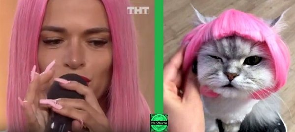 Приколы о Дом-2 (8.09.2019)