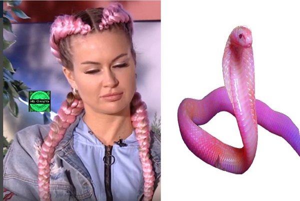 Приколы о Дом-2 (8.09.2019)