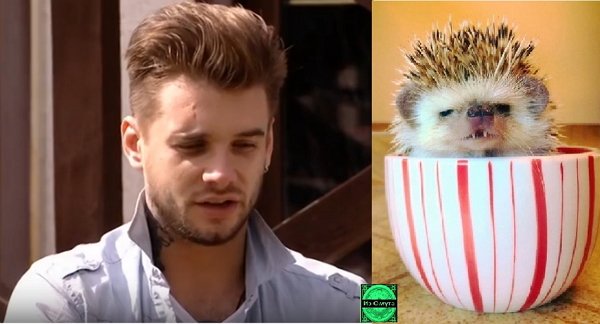 Приколы о Дом-2 (8.09.2019)