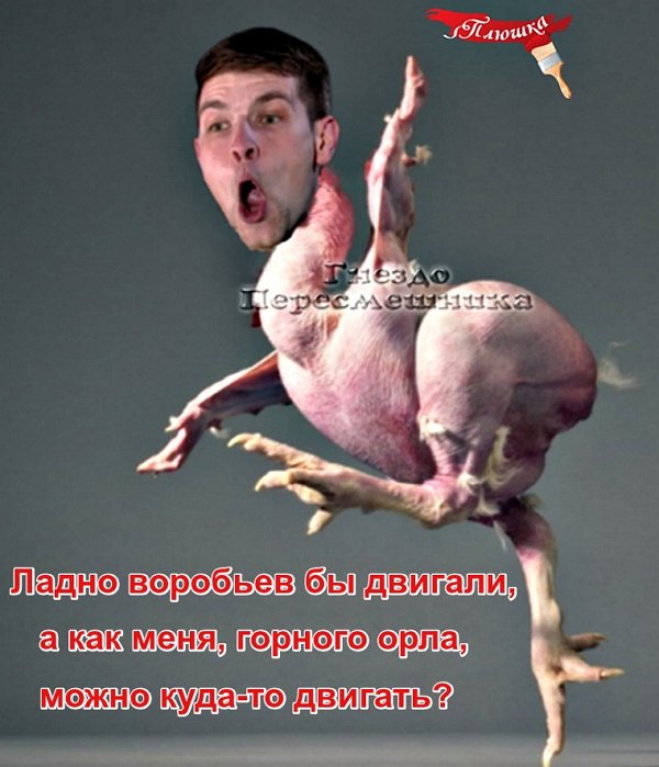 Приколы о Дом-2 (21.09.2019)