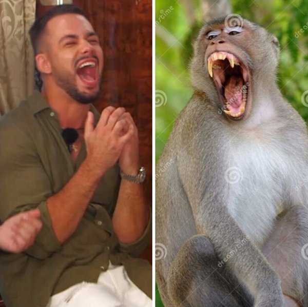 Приколы о Дом-2 (27.09.2019)