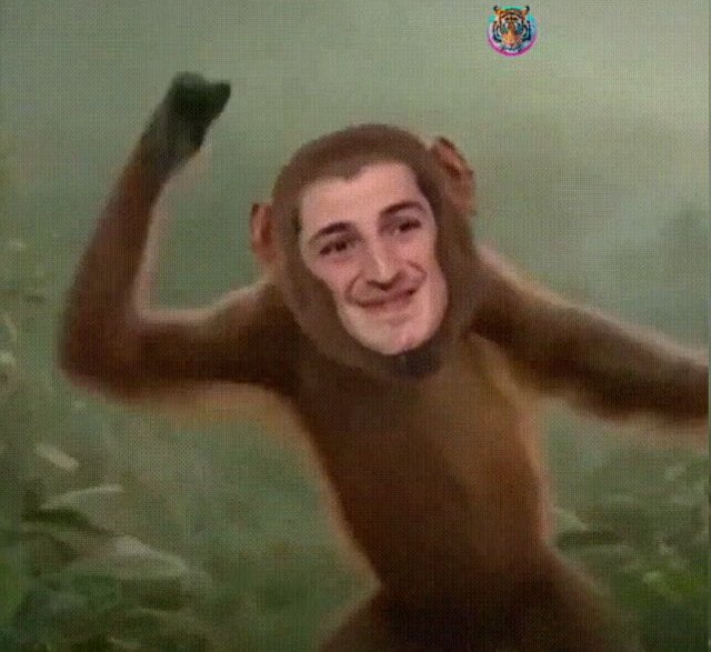 Стихи о Дом-2 на 6.10.2019