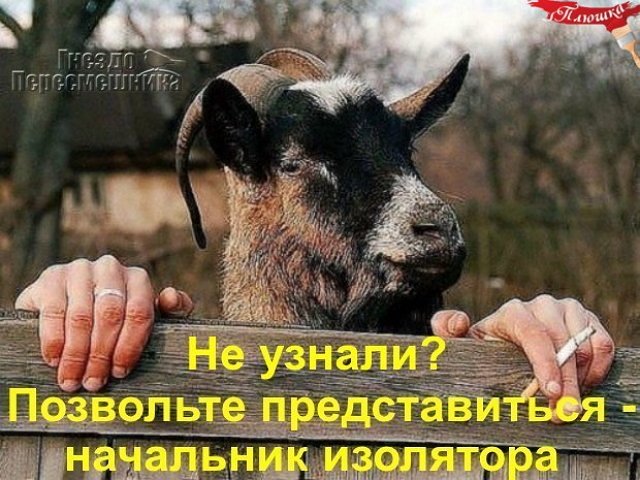 Приколы о Дом-2 (6.10.2019)