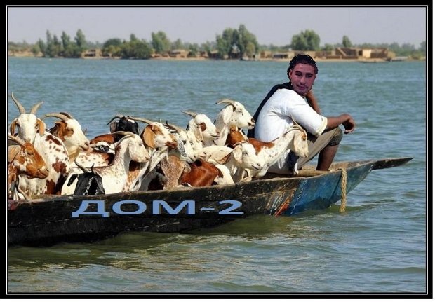 Приколы о Дом-2 (8.10.2019)