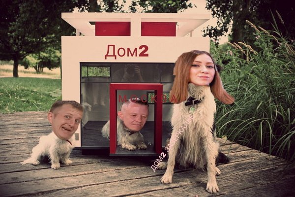 Приколы о Дом-2 (15.10.2019)