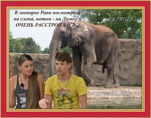 Приколы о Дом-2 (18.10.2019)