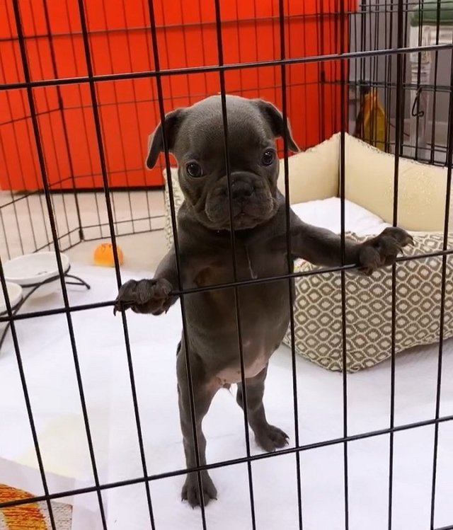 Марина Африкантова: Какая кличка вам приходит в голову?