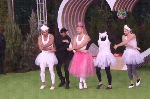 Стихи о Дом-2 на 24.10.2019