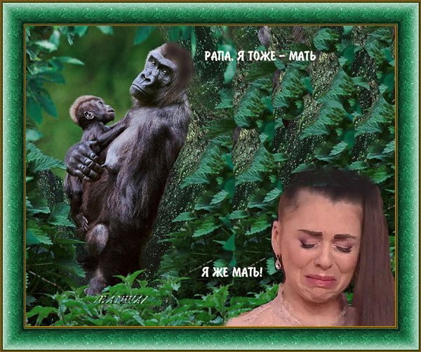 Приколы о Дом-2 (26.10.2019)