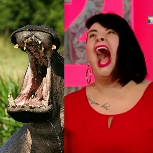 Приколы о Дом-2 (29.10.2019)