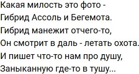 Стихи о Дом-2 на 30.10.2019