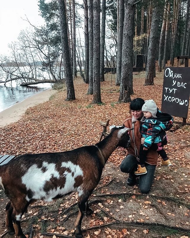 Фотоподборка детей участников (1.11.2019)