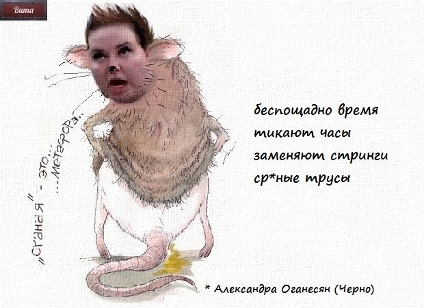 Приколы о Дом-2 (8.11.2019)