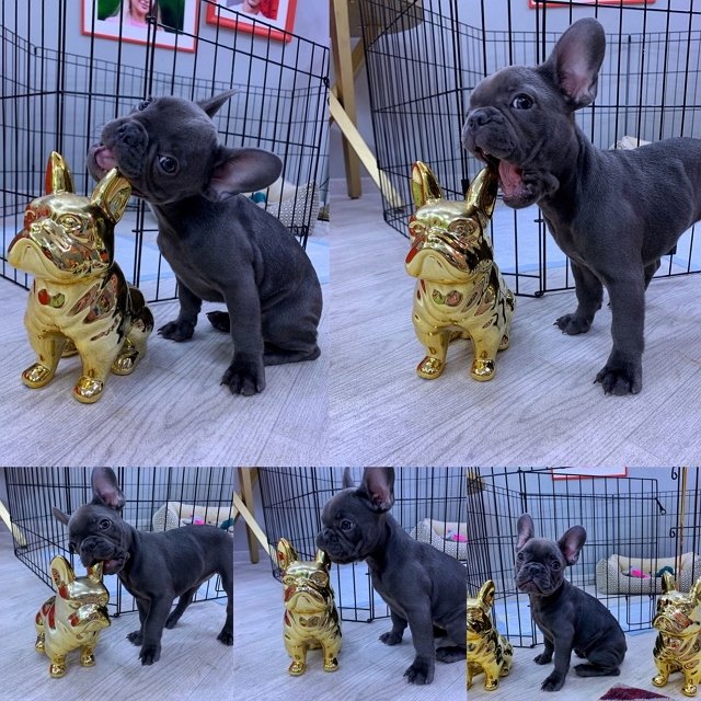 Марина Африкантова: Головоломка решена