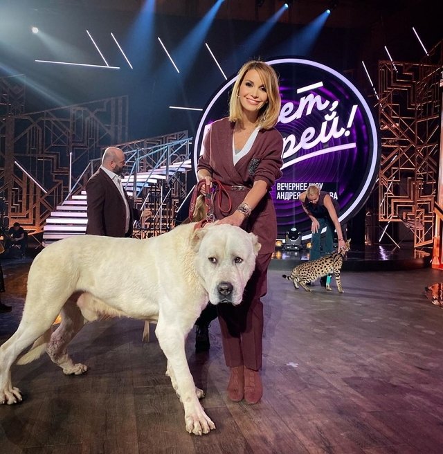 Свежие фото от участников (13.11.2019)