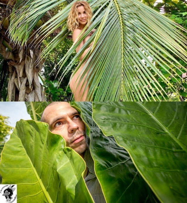 Стихи о Дом-2 на 1.12.2019