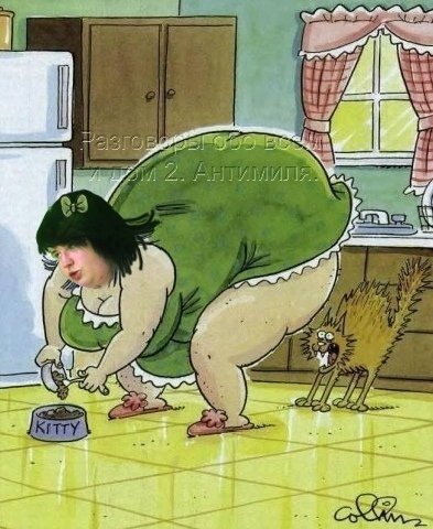 Приколы о Дом-2 (14.12.2019)