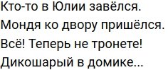 Стихи о Дом-2 на 29.12.2019