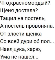 Стихи о Дом-2 на 31.12.2019